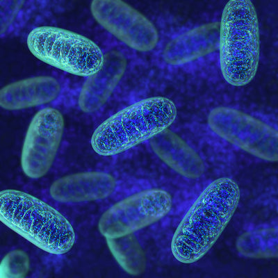 The Role of Mitochondria in Eye Health: How Red Light Therapy Helps